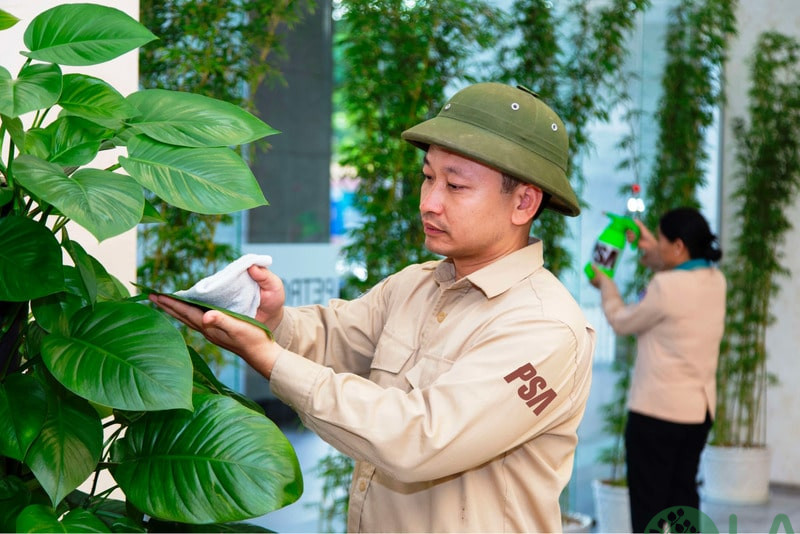 công ty cây xanh hà nội