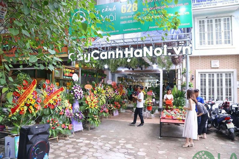 công ty cây xanh hà nội